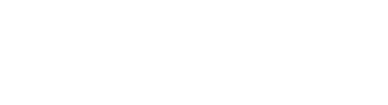 logo-n+p1